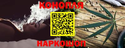 сатива Нарткала