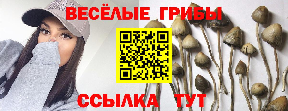 Трёхгорный  Псилоцибиновые грибы Psilocybe  Вход с VPN 